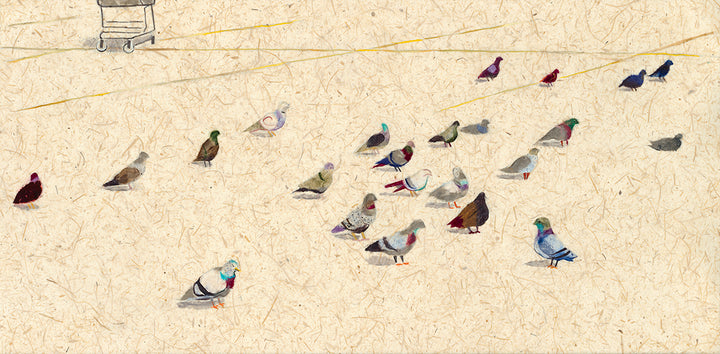 Probably a Middle Child