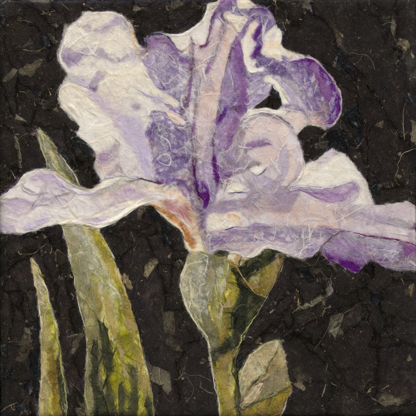 Mom's Iris